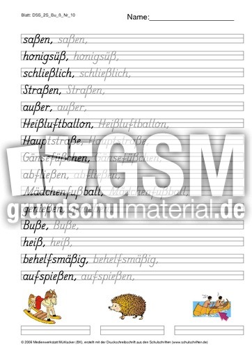 DSS_2S_Bu_ß_Nr_10.pdf